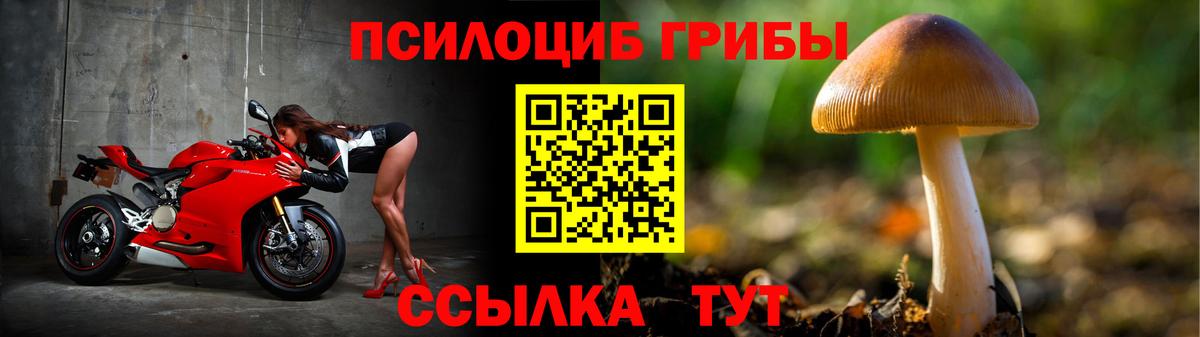 Галлюциногенные грибы мицелий  Псилоцибиновые грибы мухоморы  купить   Лянтор  Вход с VPN 